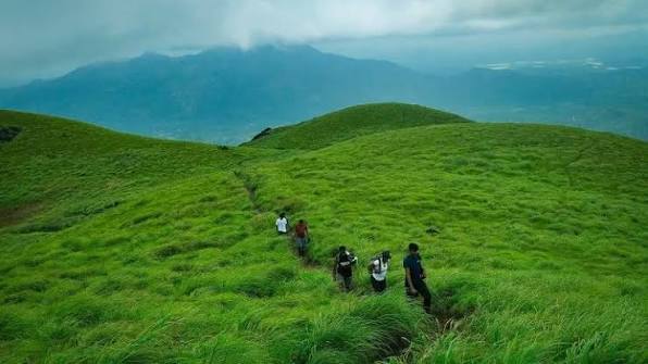 The twin grassland summits of Chembra Peak above shola forest in Wayanad